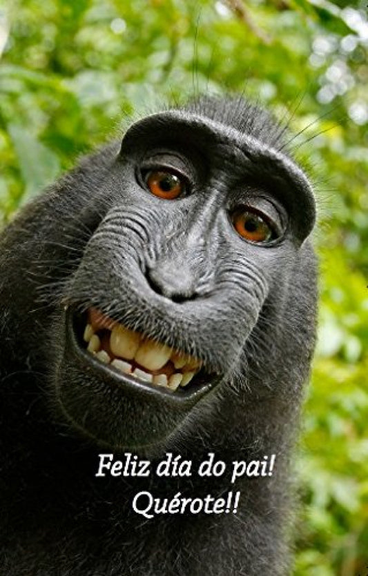 (POSTAL) Feliz día do Pai .-III